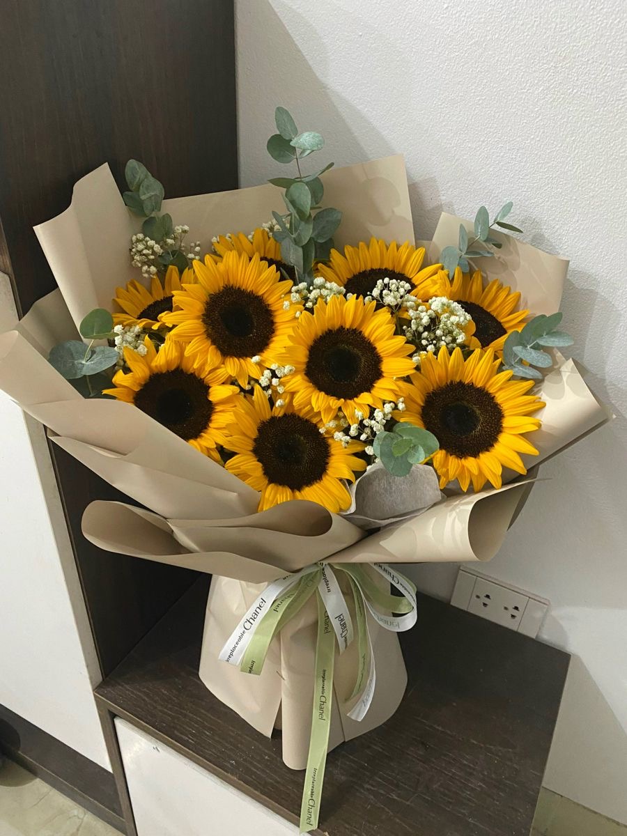 Girasoles 