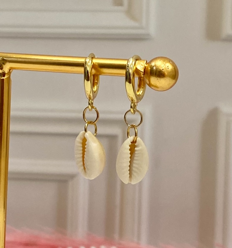 Argollas conchas de mar